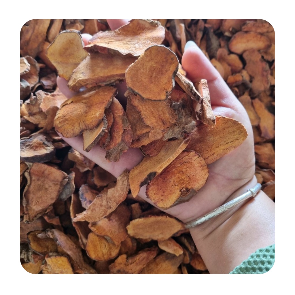 Thổ phục linh ( củ khúc khắc )  khô loại 1 hỗ trợ về xương khớp | BigBuy360 - bigbuy360.vn