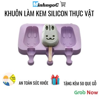 Khuôn Làm Kem Silicon Tặng Kèm 50 Que Làm Kem Hình Cute Có Nắp Đậy Bằng Nhựa  - Siêu Thị Minh Ngọc