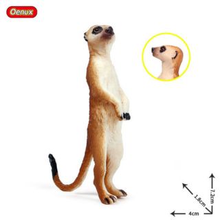 Mô hình Chồn đất châu phi. Mô hình động vật siêu thực