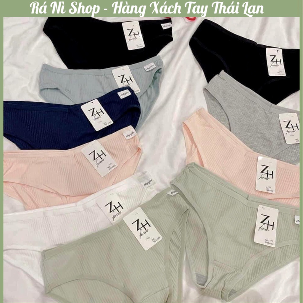 COMBO SET QUẦN LÓT ZH COTTON CAO CẤP HÀNG THÁI LAN