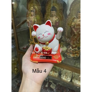 Mèo thần tài size nhỏ