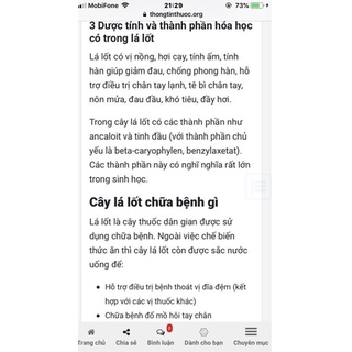 Chậu nhựa lá lốt
