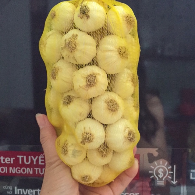 Tỏi Phan Rang