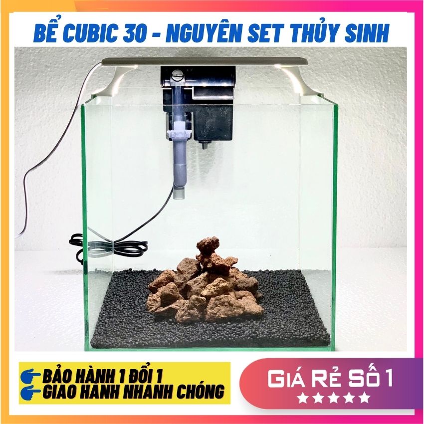 Bể cá thủy sinh (COMBO nguyên set thủy sinh) , bể cá mini thủy sinh tặng kèm phụ kiện