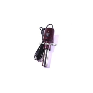 Ngải cứu điện Diện Chẩn