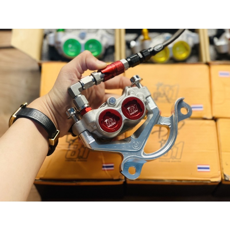 heo 81 hổ trợ bat heo full xe