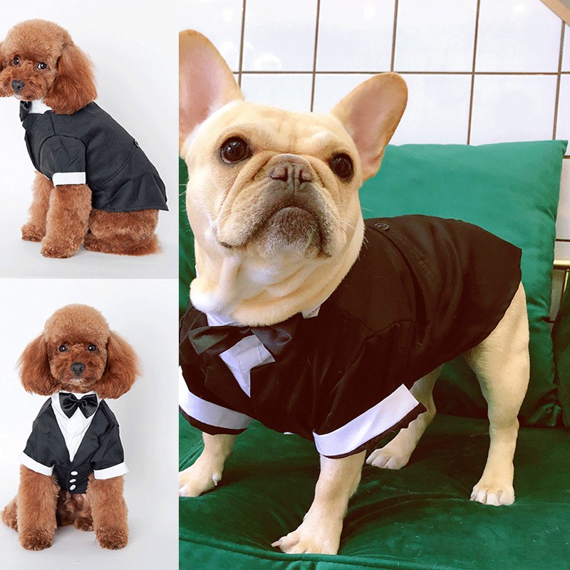 Áo vest chú rể cho chó cưng trong tiệc cưới