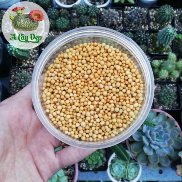 100g Phân tan chậm NPK 14-14-14 xuất xứ Thái Lan hàng đẹp, phân phối chuyên nghiệp.