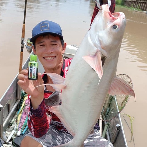 MỒI CÂU CÁ TRA MAYME 150ML, Chuyên dùng pha chế Cám Câu Cá Tra, Cháo Câu Cá Tra, Bún Câu Cá Tra