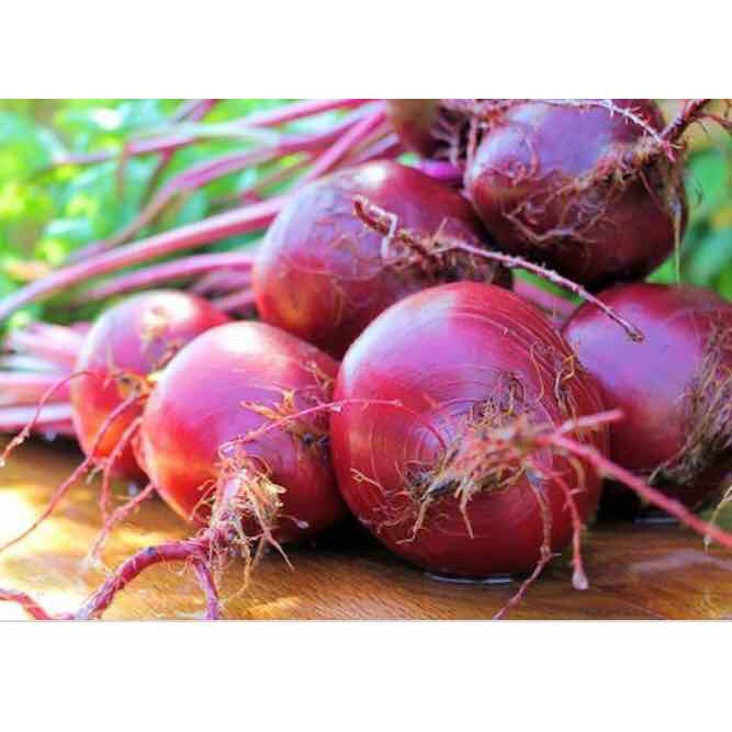 HẠT GIỐNG CỦ DỀN - GÓI 5 GRAM