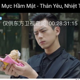 Mèo của GUN thần Cá Mực hầm mật