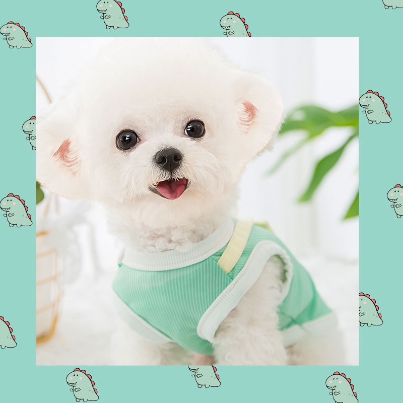 Áo cho chó poodle mùa hè Hipipet vải lụa băng màu xanh họa tiết túi khủng long đáng yêu