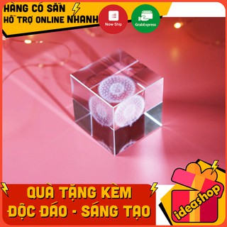 Chặn giấy Pha lê hình Hoa Bồ Công Anh (Dandelion Crystal Cube)