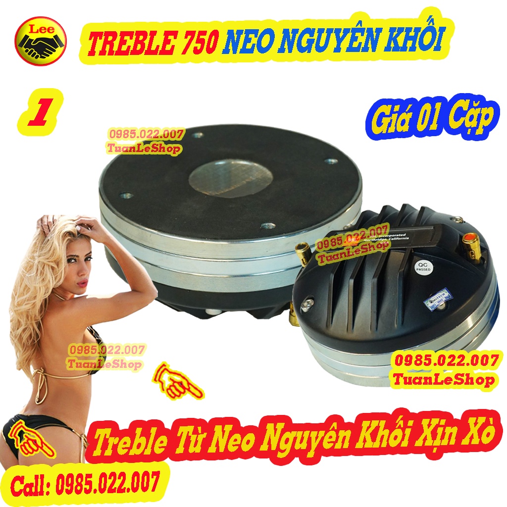2 LOA TREBLE 750 NEO NGUYÊN KHỐI - COIL 74,5MM – GIÁ 02 CỦ TREBLE  - TREP 750 NEO J B L