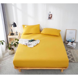 Set ga gối cotton tc