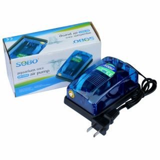 Sủi oxi sobo