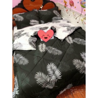 Bộ Drap & Chăn Phao Cotton Poly Lá Me Đen