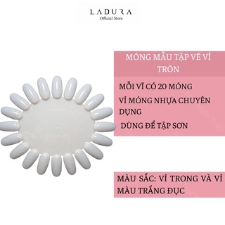 Móng mẫu tập vẽ vỉ tròn