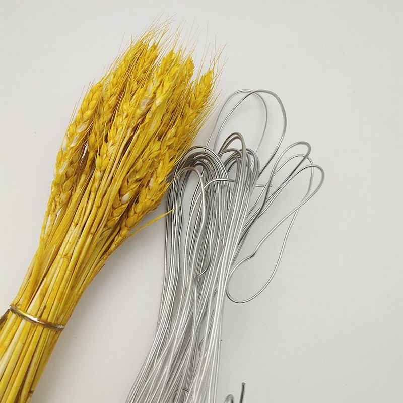 Kẽm Nẹp Vành Bọc Nhựa 2m