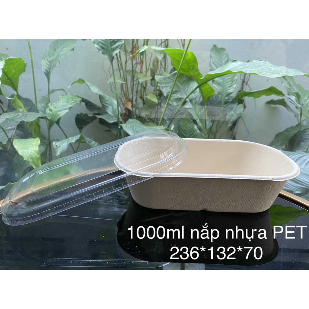 50 Hộp oval bã mía1000ml nắp nhựa Pet 236*132*70