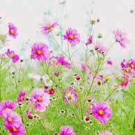 Mẹ Hiện Đại Shop