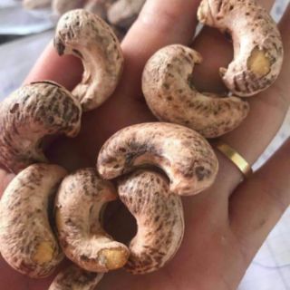 Điều a Việt nguyên hạt 1kg