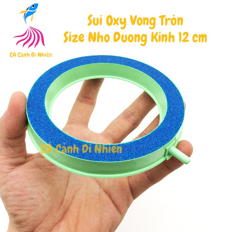 Sủi OXY vòng tròn size nhỏ 12CM cực mịn cho hồ cá