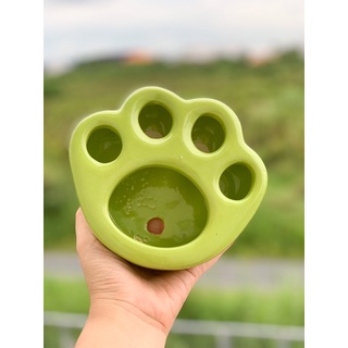 Chậu chân mèo trồng sen đá, sen mông
