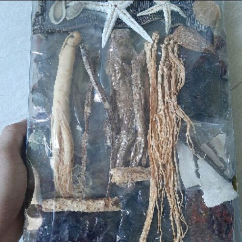 Combo 3 thang MINH MẠNG TÔN THẤT THỐNG LOẠI đặc biệt 1000g/thang