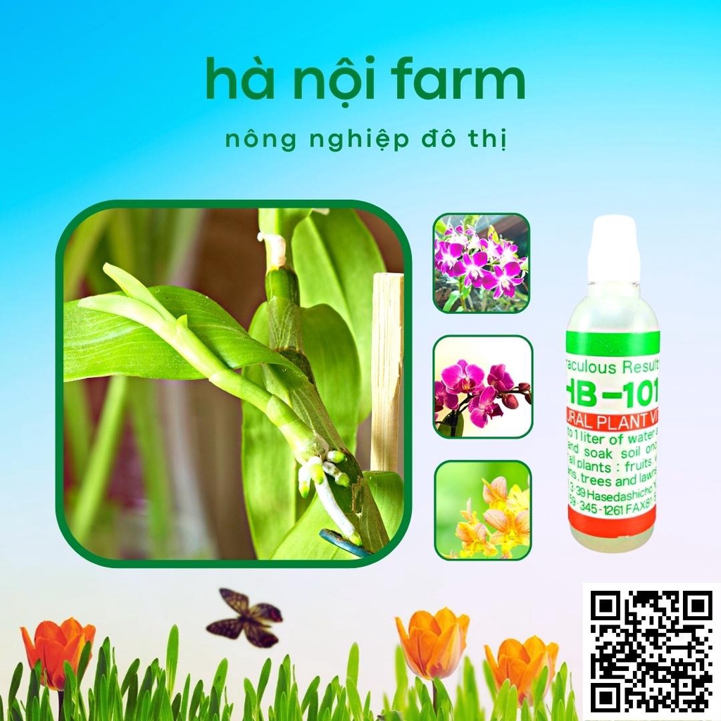 Thuốc kích rễ HB-101 Nhật bản Flora Plant Vitalizer 6ml - Tăng trưởng mạnh