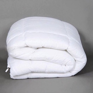 Ruột chăn bông kích thước 2x2,2m