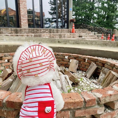 Áo hai dây sọc kèm nón gấu dành cho thú cưng