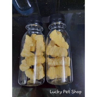 Phomai cho Hamster