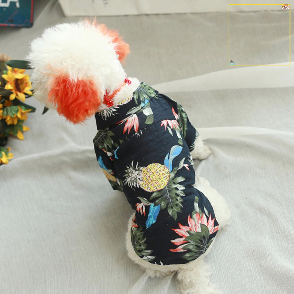 Áo Thun Cotton In Họa Tiết Cho Thú Cưng