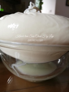 Túi cotton lọc sữa chua hy lạp cỡ 24x36cm