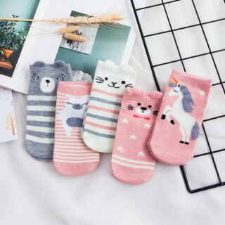 Combo 5 đôi tất thú xuất hàn
