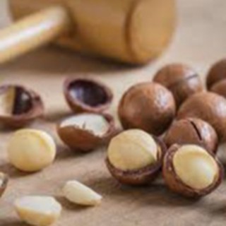 Dầu Hạt Macca ( Macadamia Nut Oil )
