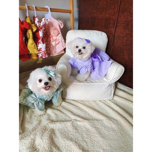 Đầm nơ bản to cao cấp chó mèo