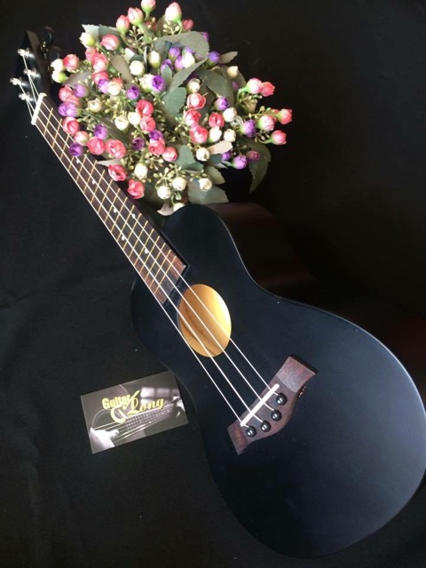 Đàn Ukulele Concert MT giá rẻ