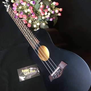 Đàn ukulele concert