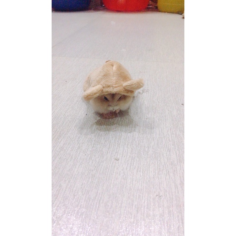 Áo choàng cho HAMSTER / SÓC 🐹🐿🦔