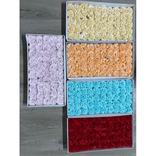 Hoa sáp cẩm chướng