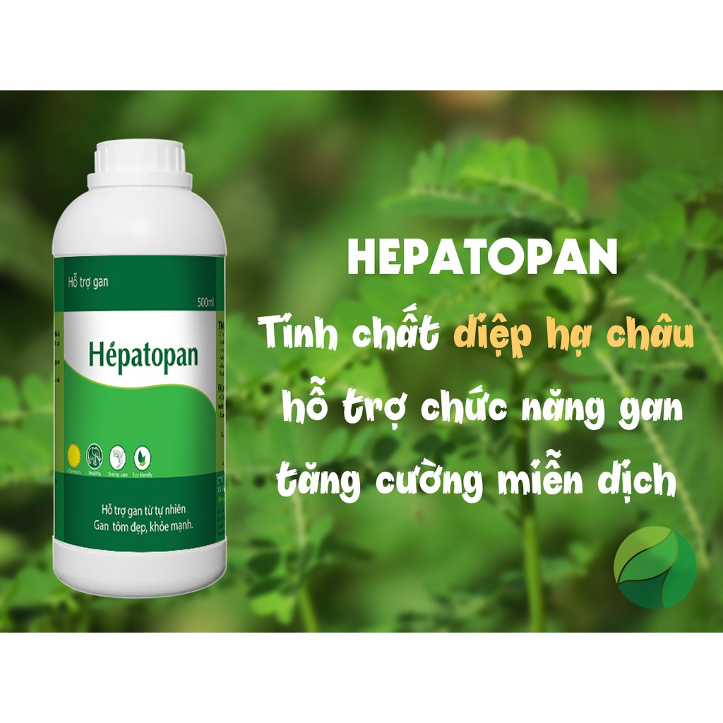 Hepatopan - Hỗ trợ gan từ tự nhiên, gan tôm đẹp, khỏe mạnh (dùng trong nuôi tôm)