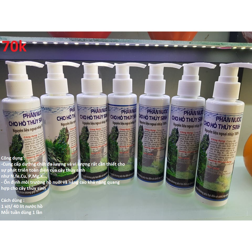 Phân Nước cho hồ cá thủy sinh Ráy, Dương Sỉ, Bucep