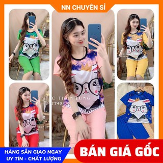 Đồ bộ nữ Đồ bộ mặc nhà Thun lửng Vải mềm mịn mát in hoạt hình hoạt tiết dễ thương BTT40