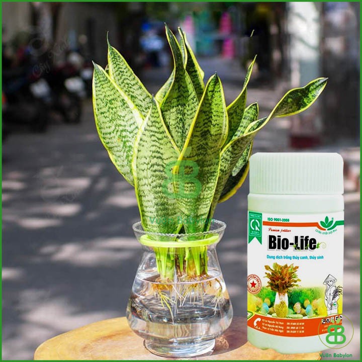 Dung Dịch Thủy Canh Bio Life 100ml