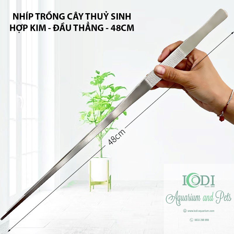 Nhíp trồng cây cho bể thủy sinh