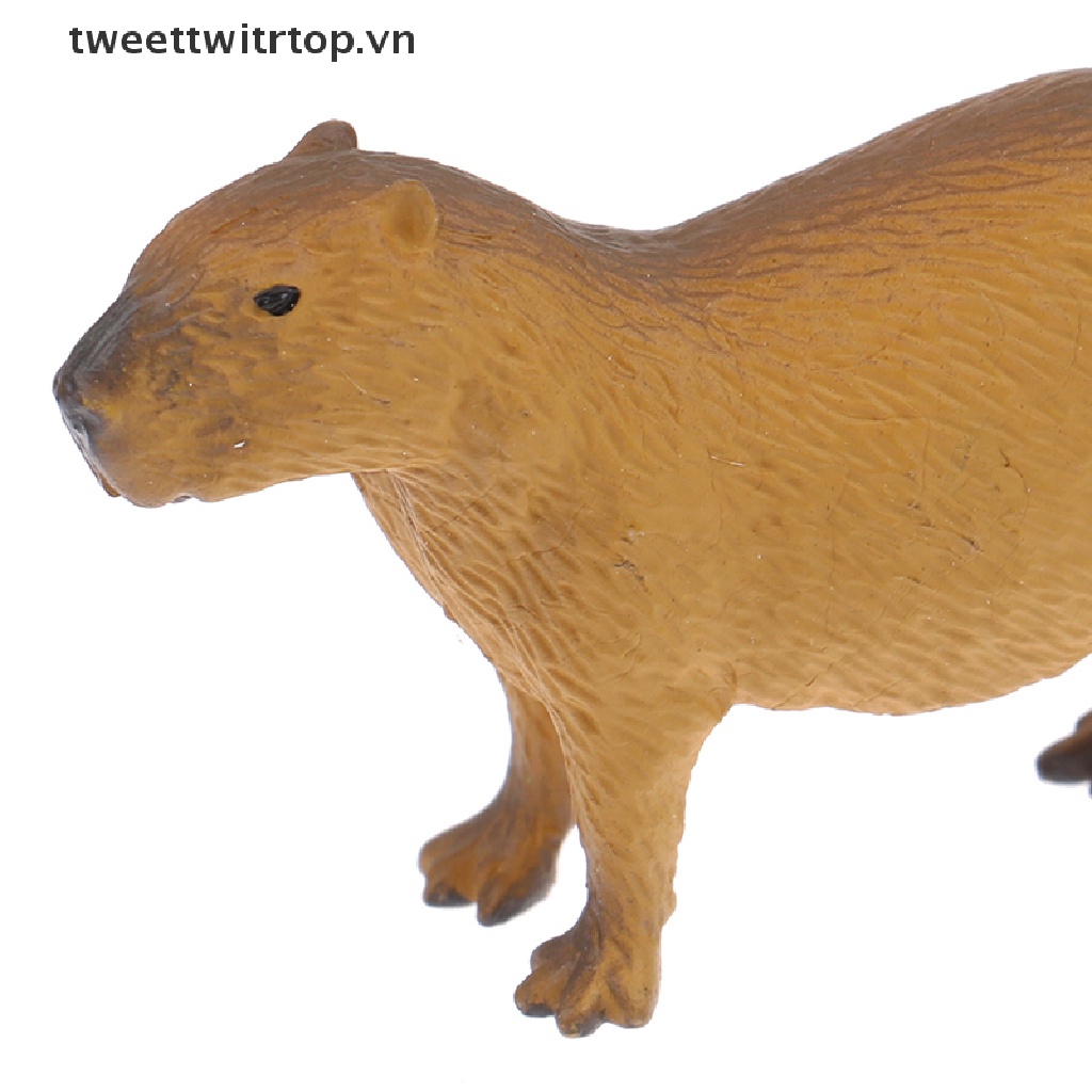 Mô Hình Đồ Chơi Sưu Tầm Capybara Hoang Dã Dễ Thương