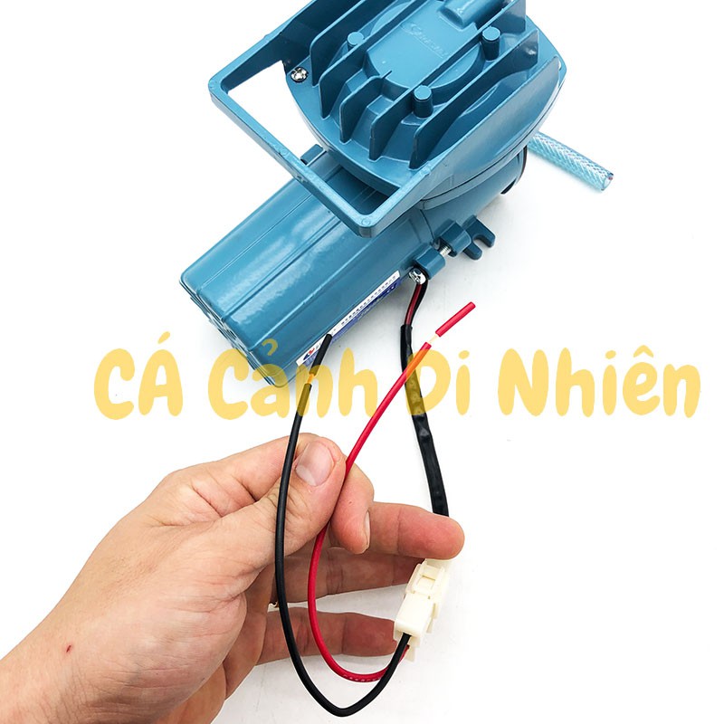 Máy sủi thổi khí oxy 35W Resun MPQ-903 chạy bình ắc quy 12V