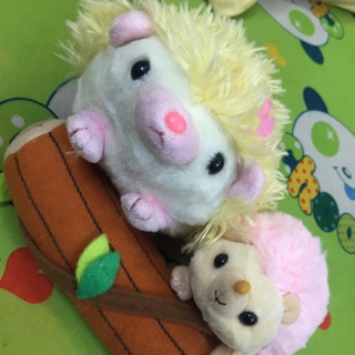 Gấu đẹp 370